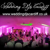 Wedding DJs Cardiff 1090038 Image 1